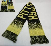 Knitted Scarf with Fringe [PITTSBURGH] Digital Fade 